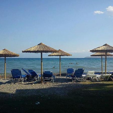 Nafsika Beach Delphi-Itea Exteriör bild