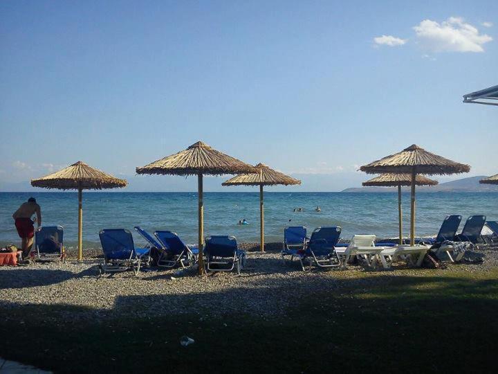 Nafsika Beach Delphi-Itea Exteriör bild